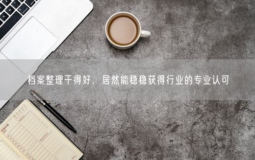 档案整理干得好，居然能稳稳获得行业的专业认可