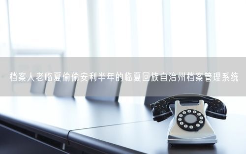 档案人老临夏偷偷安利半年的临夏回族自治州档案管理系统