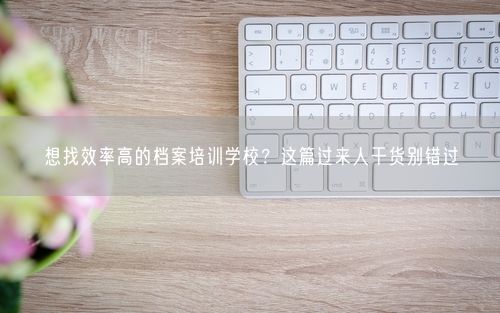 想找效率高的档案培训学校？这篇过来人干货别错过