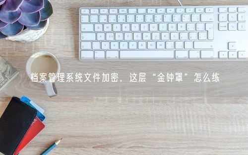 档案管理系统文件加密，这层“金钟罩”怎么练