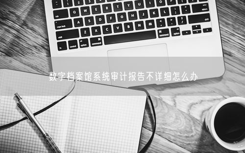 数字档案馆系统审计报告不详细怎么办
