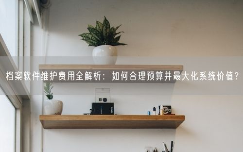 档案软件维护费用全解析：如何合理预算并最大化系统价值？