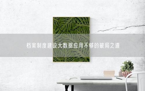 档案制度建设大数据应用不够的破局之道