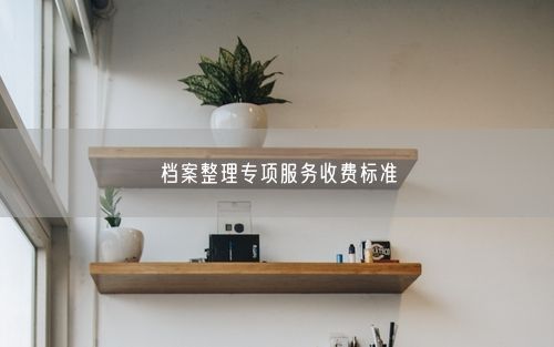 档案整理专项服务收费标准