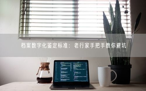 档案数字化鉴定标准：老行家手把手教你避坑