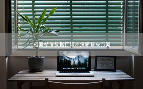 档案整理数据打印不清晰解决方案