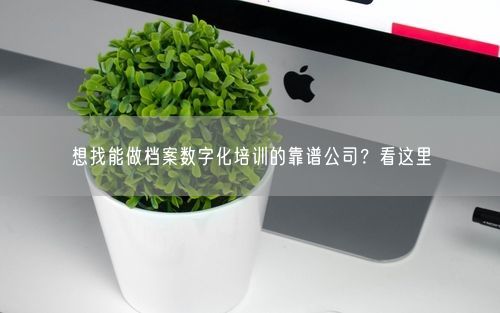 想找能做档案数字化培训的靠谱公司？看这里