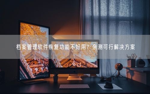 档案管理软件恢复功能不好用？亲测可行解决方案