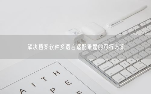 解决档案软件多语言适配难题的可行方案