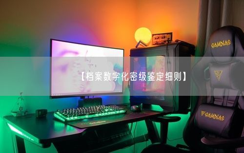 【档案数字化密级鉴定细则】
