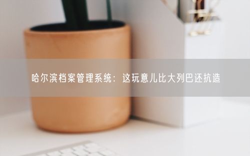 哈尔滨档案管理系统：这玩意儿比大列巴还抗造