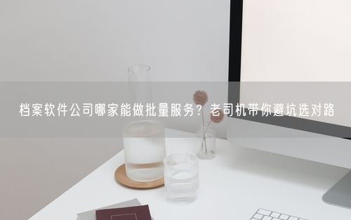 档案软件公司哪家能做批量服务？老司机带你避坑选对路