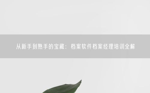 从新手到熟手的宝藏：档案软件档案经理培训全解
