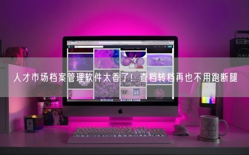 人才市场档案管理软件太香了！查档转档再也不用跑断腿