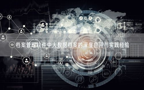 档案管理软件中大数据档案的深度应用与实践经验