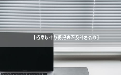 【档案软件数据报表不及时怎么办】
