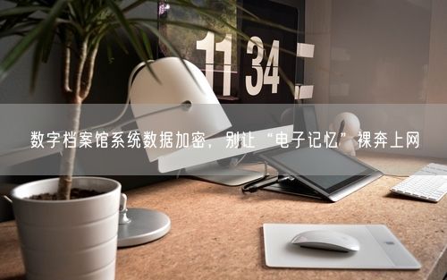 数字档案馆系统数据加密，别让“电子记忆”裸奔上网