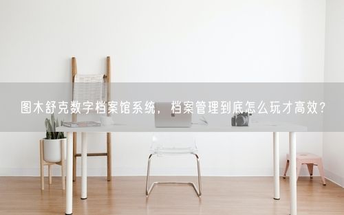 图木舒克数字档案馆系统，档案管理到底怎么玩才高效？