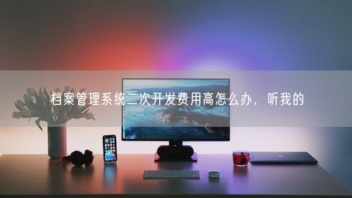 档案管理系统二次开发费用高怎么办，听我的