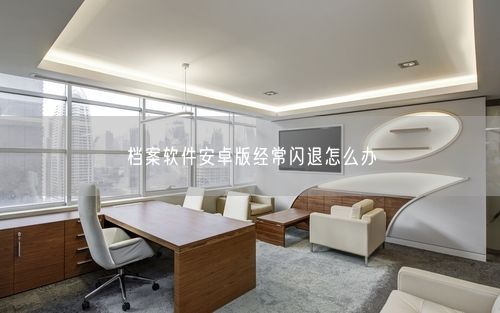 档案软件安卓版经常闪退怎么办