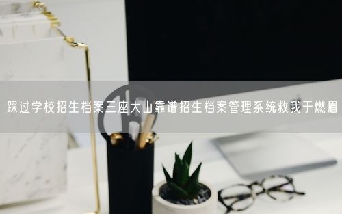 踩过学校招生档案三座大山靠谱招生档案管理系统救我于燃眉