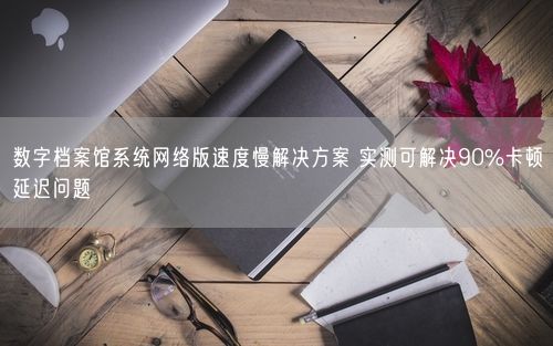 数字档案馆系统网络版速度慢解决方案 实测可解决90%卡顿延迟问题