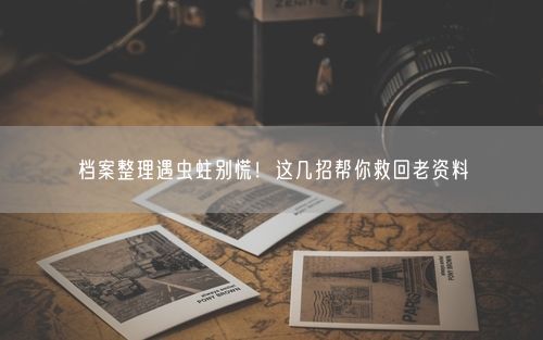 档案整理遇虫蛀别慌！这几招帮你救回老资料