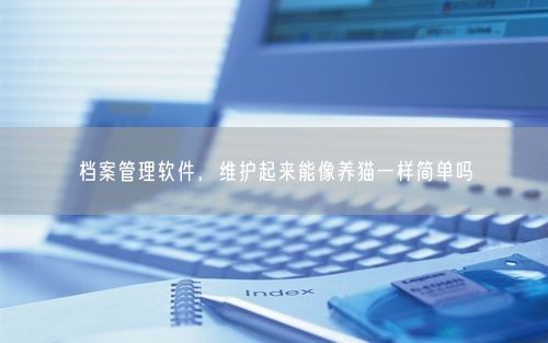 档案管理软件，维护起来能像养猫一样简单吗