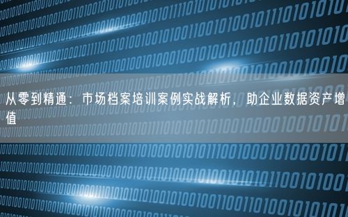 从零到精通：市场档案培训案例实战解析，助企业数据资产增值
