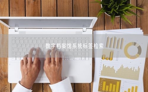 数字档案馆系统标签检索
