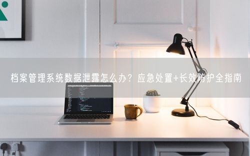 档案管理系统数据泄露怎么办？应急处置+长效防护全指南