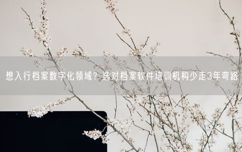 想入行档案数字化领域?选对档案软件培训机构少走3年弯路