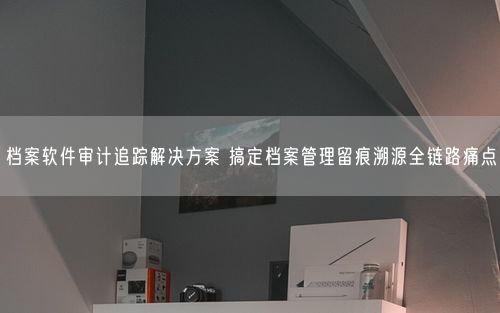 档案软件审计追踪解决方案 搞定档案管理留痕溯源全链路痛点
