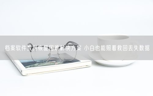 档案软件数据恢复困难解决方案 小白也能照着救回丢失数据