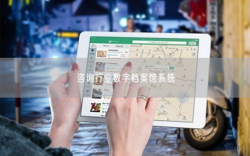 咨询行业数字档案馆系统