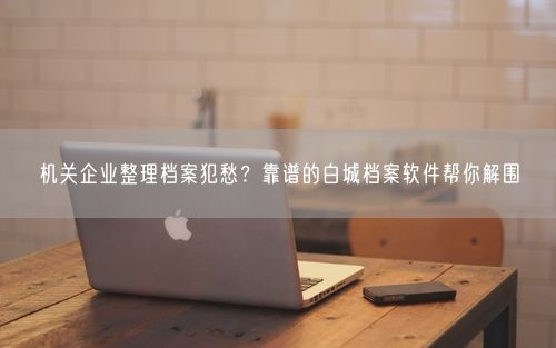 机关企业整理档案犯愁？靠谱的白城档案软件帮你解围