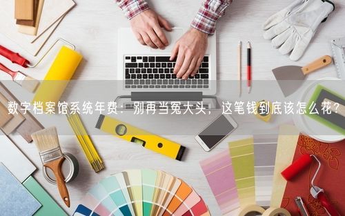 数字档案馆系统年费：别再当冤大头，这笔钱到底该怎么花？
