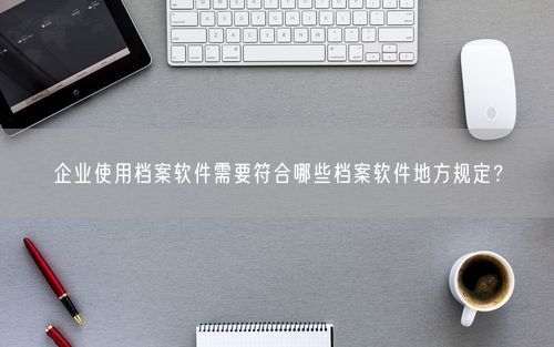 企业使用档案软件需要符合哪些档案软件地方规定？