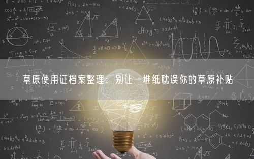 草原使用证档案整理：别让一堆纸耽误你的草原补贴
