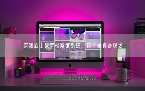 实测眉山数字档案馆系统，这才是真香现场