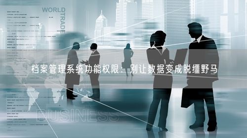 档案管理系统功能权限：别让数据变成脱缰野马