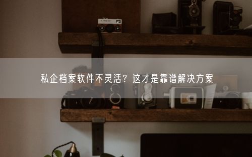 私企档案软件不灵活？这才是靠谱解决方案
