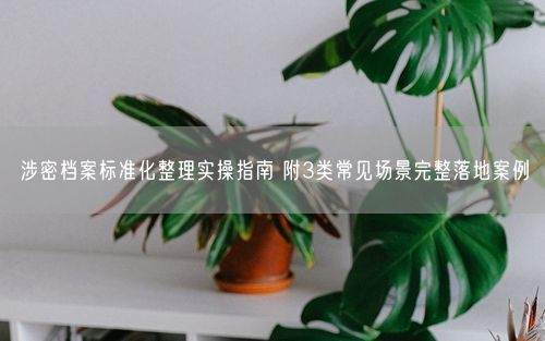 涉密档案标准化整理实操指南 附3类常见场景完整落地案例