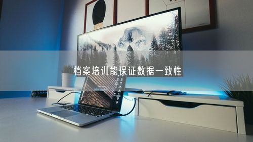 档案培训能保证数据一致性
