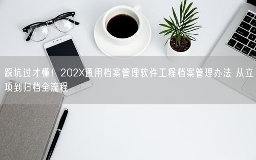 踩坑过才懂！202X通用档案管理软件工程档案管理办法 从立项到归档全流程