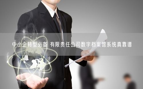 中小企转型必备 有限责任公司数字档案馆系统真靠谱
