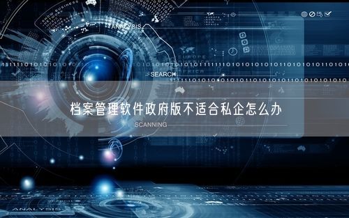 档案管理软件政府版不适合私企怎么办
