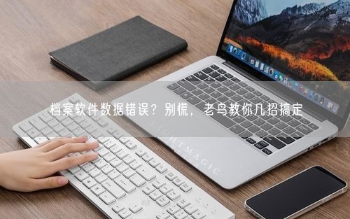 档案软件数据错误？别慌，老鸟教你几招搞定