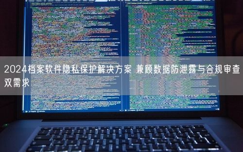 2024档案软件隐私保护解决方案 兼顾数据防泄露与合规审查双需求