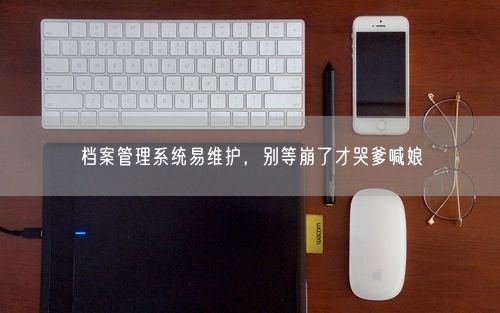 档案管理系统易维护，别等崩了才哭爹喊娘